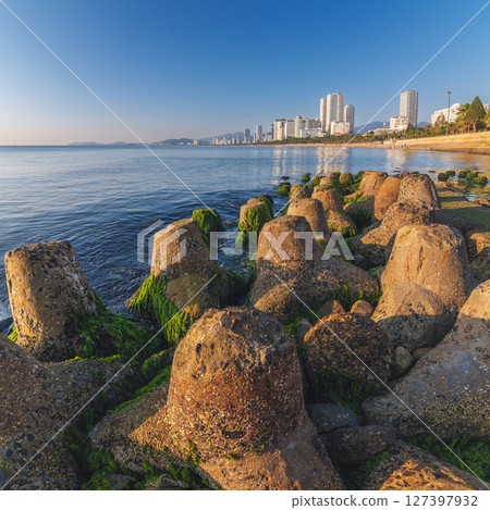 embankment and green moss beach near sea in Nha Trang city with skyscrapers embankment and green moss beach near sea in Nha Trang city with skyscrapers 127397932