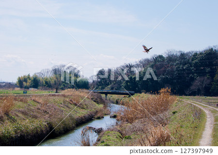一隻黑鳶飛過流經鄉村的河流 一隻黑鳶飛過流經鄉村的河流 127397949