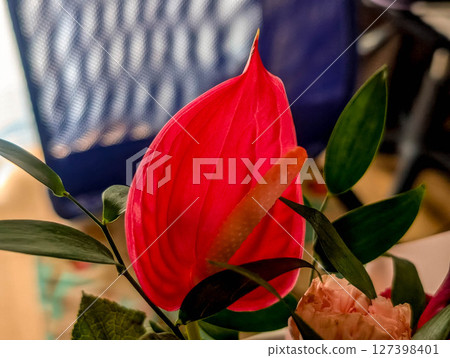 Life with flowers - Anthurium 127398401