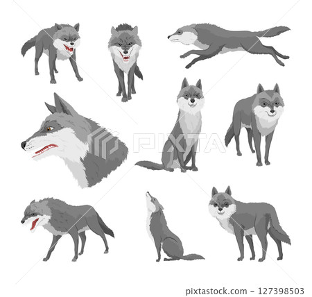 Gray wolf set. A predatory beast. Wild forest animal. Vector hand drawn vintage old sketch for stamp, t-shirt or typography or badge Gray wolf set. A predatory beast. Wild forest animal. Vector hand drawn vintage old sketch for stamp, t-shirt or typography or badge 127398503