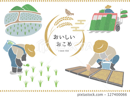 Farmers sowing and planting rice 127400066