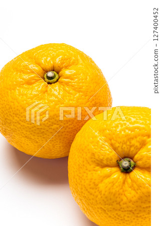 Citron Citron 127400452