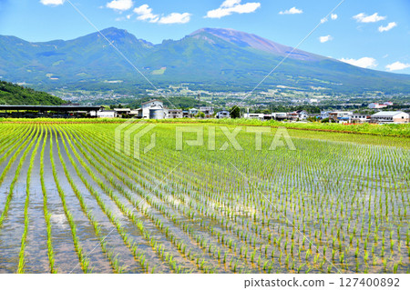 View of Mount Asama from Gorobei Shinden (Saku City, Nagano Prefecture) [June 2025] 127400892