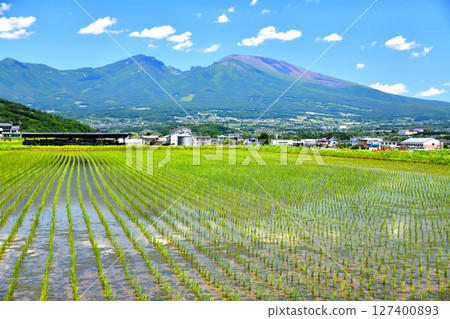 View of Mount Asama from Gorobei Shinden (Saku City, Nagano Prefecture) [June 2025] 127400893