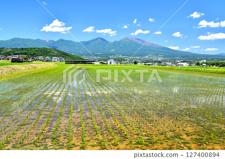 View of Mount Asama from Gorobei Shinden (Saku City, Nagano Prefecture) [June 2025] 127400894