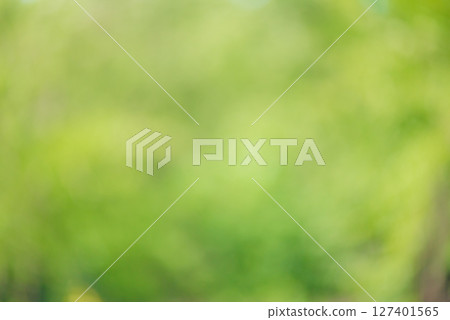 Natural abstract defocused background. Defocused plants, greenery. 127401565