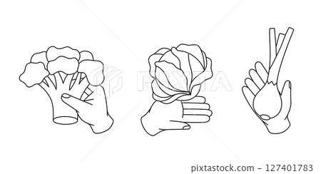 Hands holding vegetables. Broccoli, cabbage and green onion. Minimalist vector drawing for coloring books, education or healthy food design Hands holding vegetables. Broccoli, cabbage and green onion. Minimalist vector drawing for coloring books, education or healthy food design 127401783