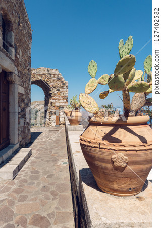Mediterranean stone terrace with potted cacti Mediterranean stone terrace with potted cacti 127402582