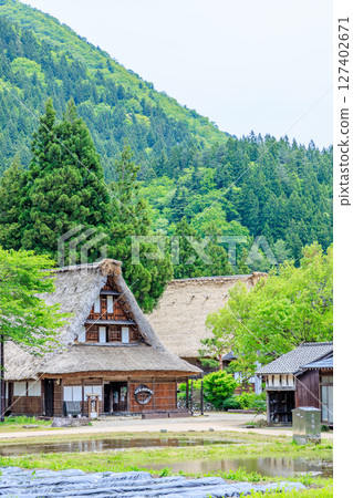 Suganuma Gassho-style Village in early summer, Gokayama, Nanto City, Toyama Prefecture 127402671