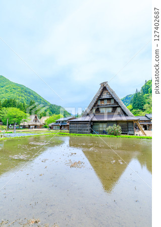 富山縣南礪市五簇山初夏的菅沼合掌村 富山縣南礪市五簇山初夏的菅沼合掌村 127402687