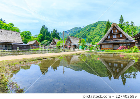 Suganuma Gassho-style Village in early summer, Gokayama, Nanto City, Toyama Prefecture 127402689
