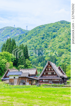 富山縣南礪市五簇山初夏的菅沼合掌村 127402692