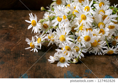 Beautiful white chamomile flowers with yellow centers scattered on rustic wooden background. Natural herbal medicine and aromatherapy concept. Beautiful white chamomile flowers with yellow centers scattered on rustic wooden background. Natural herbal medicine and aromatherapy concept. 127402826