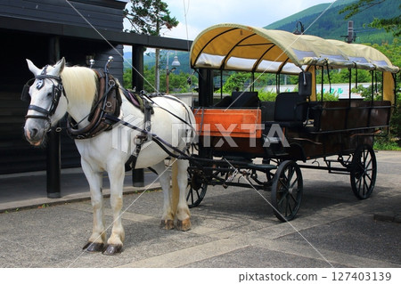 Tsuji馬車(Yufuin站) Tsuji馬車(Yufuin站) 127403139