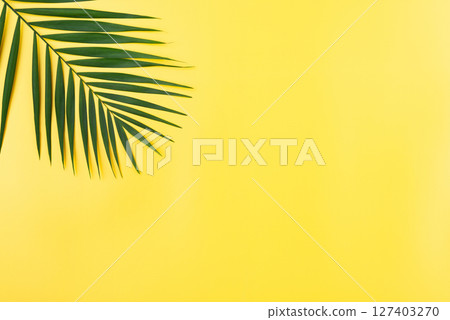 Vacation travel planning simple theme of palm leaves on uniform yellow background flat lay with copy-space 127403270