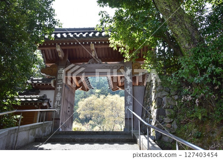 Kyoto City: The east gate of Zenbouji Temple and deep greenery Kyoto City: The east gate of Zenbouji Temple and deep greenery 127403454