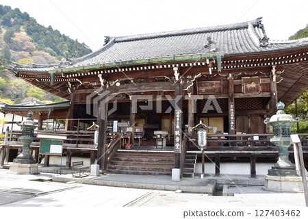 京都市內的善寶寺觀音堂（本殿）及青山 127403462
