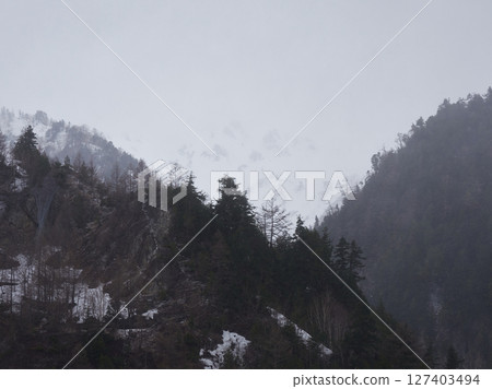 春天的早晨,立山山脈的雪景和旅遊景點立山黑部阿爾卑斯山脈路線上的森林霧氣 春天的早晨,立山山脈的雪景和旅遊景點立山黑部阿爾卑斯山脈路線上的森林霧氣 127403494