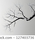 Bare Tree Branches Against a Pale Sky 127403736