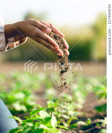 Farmer, hands and agriculture with soil, dirt or dust for plants, growth or farming closeup. Black woman, land and farm with field, earth or nutrition of ground for sustainability, fertility and zoom Farmer, hands and agriculture with soil, dirt or dust for plants, growth or farming closeup. Black woman, land and farm with field, earth or nutrition of ground for sustainability, fertility and zoom 127404050