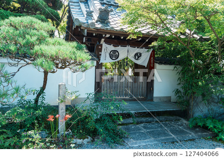 Shokakuji Temple's mountain gate surrounded by greenery 127404066