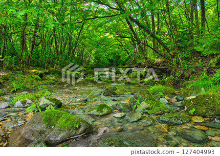 Nasushiobara City, Tochigi Prefecture - The natural forests and streams of Nasushiobara Nasushiobara City, Tochigi Prefecture - The natural forests and streams of Nasushiobara 127404993
