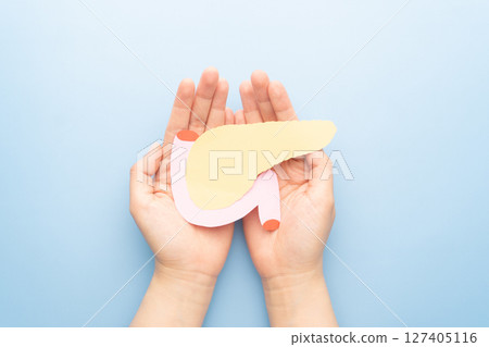 Hands holding pancreas organ shape made from paper on light blue background. Awareness of pancreatitis, pancreatic cancer and  diabetes mellitus. 127405116