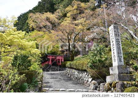 Kyoto City: The approach to Zenbouji Temple, fresh greenery and the Inari Shrine 127405423