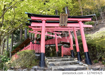 Kyoto City: Inari Shrine and fresh greenery at Zenbouji Temple 127405425