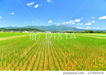 從五郎兵衛新殿眺望淺間山（長野縣佐久市）[2025年6月] 127405479