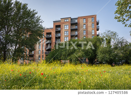 Pretty wildflowers in a park with an apartment building behind. Southall, Greater London, UK. 127405586
