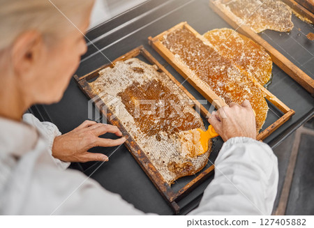 Beekeeper, honey production and honeycomb at farm for food, health or nutrition industry. Bee farmer, agriculture and insect farming for sweet, natural or sustainability with woman, scrape or harvest 127405882