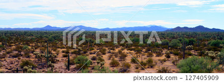 Panorama Landscape Sonoran Desert Arizona Panorama Landscape Sonoran Desert Arizona 127405909