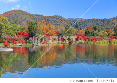 [Kyoto Prefecture] Symmetrical autumn leaves at Daikakuji Temple (Osawa Pond) 127406215