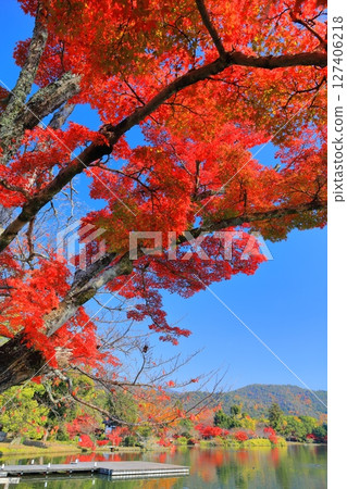 [Kyoto Prefecture] Symmetrical autumn leaves at Daikakuji Temple (Osawa Pond) 127406218