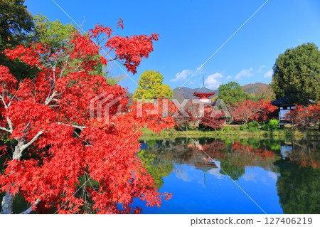 [Kyoto Prefecture] Symmetrical autumn leaves at Daikakuji Temple's Heart Sutra Pagoda (Hojo Pond) 127406219
