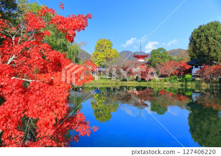 [Kyoto Prefecture] Symmetrical autumn leaves at Daikakuji Temple's Heart Sutra Pagoda (Hojo Pond) 127406220
