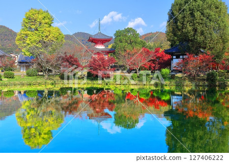 [Kyoto Prefecture] Symmetrical autumn leaves at Daikakuji Temple's Heart Sutra Pagoda (Hojo Pond) 127406222