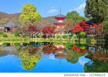 [Kyoto Prefecture] Symmetrical autumn leaves at Daikakuji Temple's Heart Sutra Pagoda (Hojo Pond) 127406223