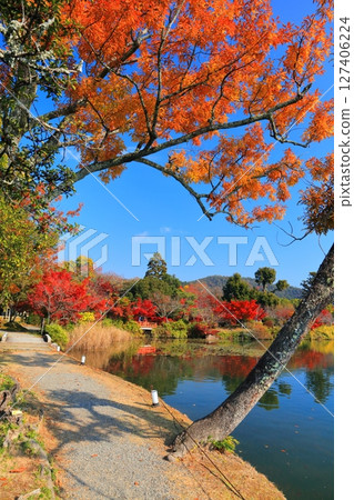 [Kyoto Prefecture] Symmetrical autumn leaves at Daikakuji Temple (Osawa Pond) 127406224