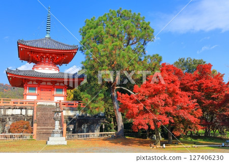 [Kyoto Prefecture] Daikakuji Temple: Heart Sutra Pagoda and autumn leaves on a clear day 127406230