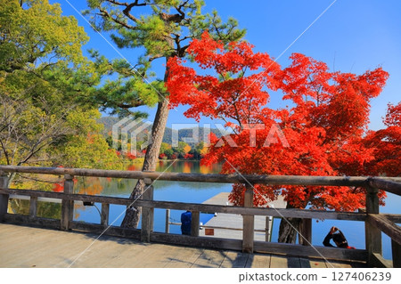 [Kyoto Prefecture] Symmetrical autumn leaves at Daikakuji Temple (Osawa Pond) 127406239