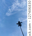 blue sky background with tree 127406830