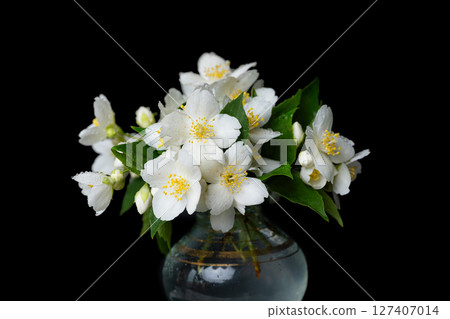 bouquet of jasmine flowers 127407014