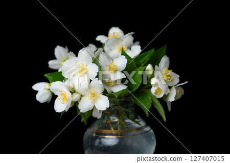 bouquet of jasmine flowers bouquet of jasmine flowers 127407015