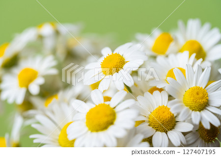 bouquet of daisies 127407195