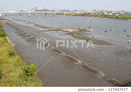 Tidal flats revealed by low tide and people enjoying boating (Edogawa Floodway) 127407477