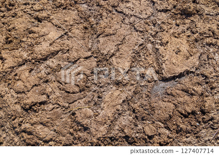 texture and full-frame background of natural manure texture and full-frame background of natural manure 127407714