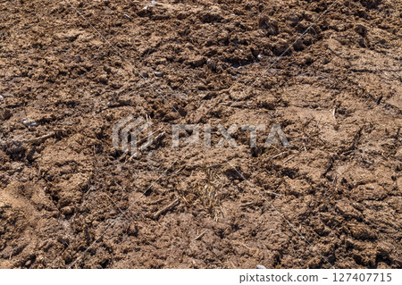 texture and full-frame background of natural manure texture and full-frame background of natural manure 127407715