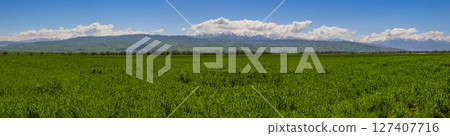 Panoramic grassy field with mountains in background during daytime Panoramic grassy field with mountains in background during daytime 127407716